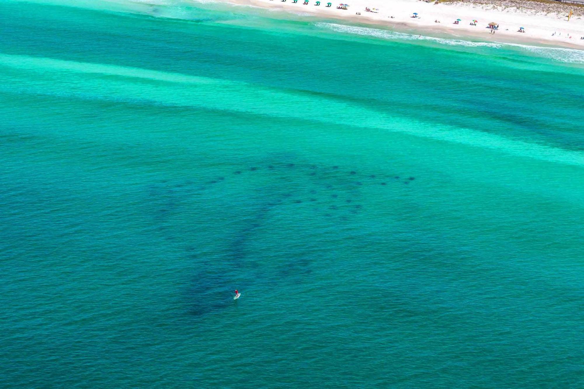 Our Happy Place Destin Luaran gambar
